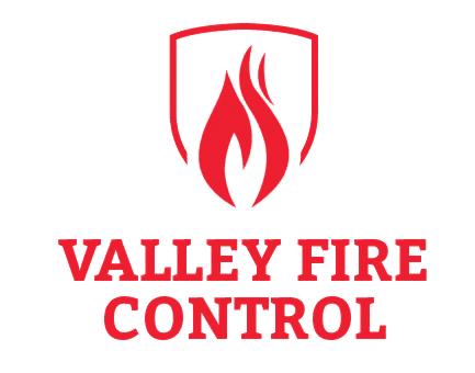 New Valley Fire removebg preview